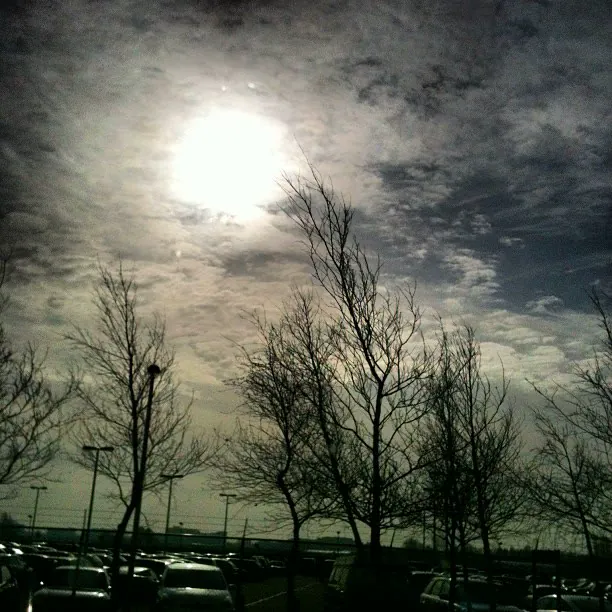 Bare trees under a cloudy sky, with the sun glowing through the clouds over a car park