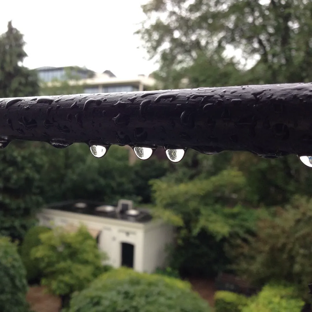 Raindrops hanging from a railing, with gardens and a small house below, in Amsterdam
