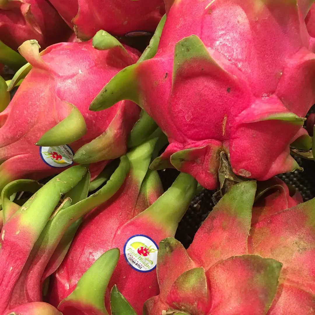 A pile of pink dragon fruit with green-tipped scales