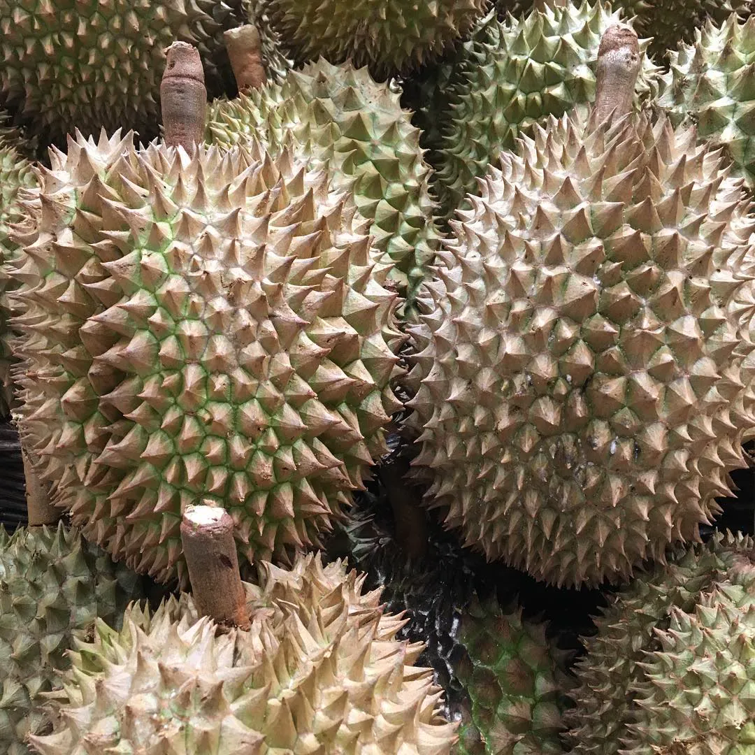 A pile of spiky durians